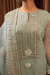 BREEZE-2 PIECE ORGANZA EMBROIDERED SUIT