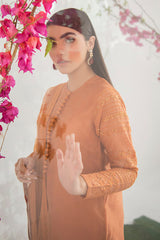 BURNT GLAZE-2PC KHADDI EMBROIDERED SUIT