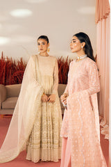 AFSHAN-2PC ORGANZA EMBROIDERED PRET