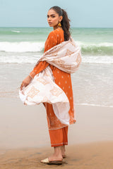 RUST AURA-3PC SATIN PRINTED SUIT