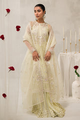 PEARL MIST-4 PIECE EMBROIDERED ORGANZA SUIT