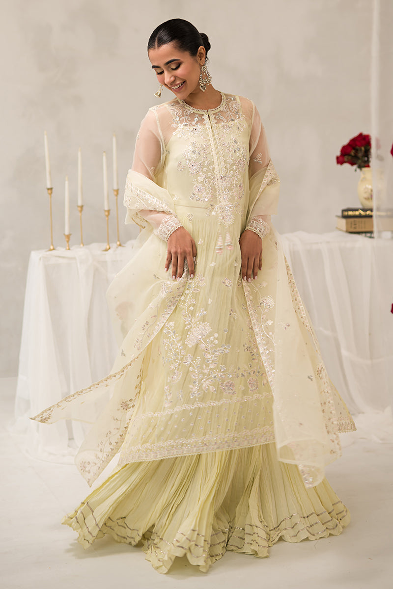 PEARL MIST-4 PIECE EMBROIDERED ORGANZA SUIT