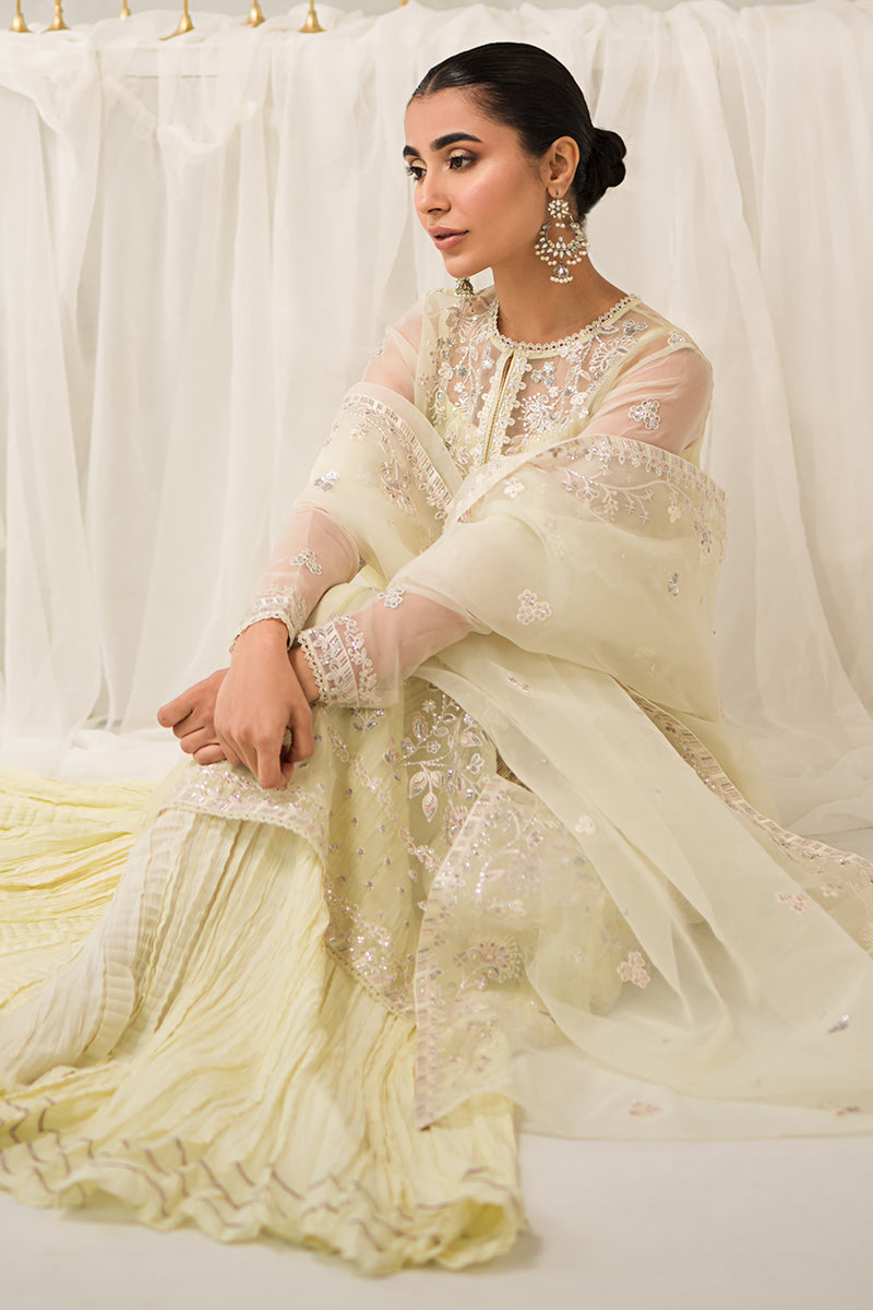 PEARL MIST-4 PIECE EMBROIDERED ORGANZA SUIT