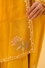 AMBER AURA-2 PC (SHIRT & DUPATTA)