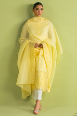 TANGY THREAD-2 PC (SHIRT & DUPATTA)