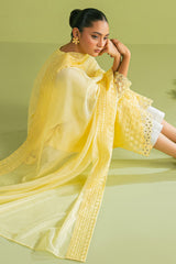 TANGY THREAD-2 PC (SHIRT & DUPATTA)
