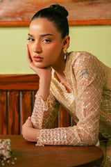 CANARY BUTTER-4 PIECE EMBROIDERED ORGANZA SUIT