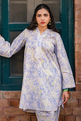 DAZZLE BLUR-2 PIECE (SHIRT AND TROUSER)