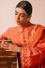 RUSTIC NOIR-3 PIECE EMBROIDERED LAWN SUIT
