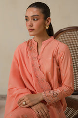 CORAL HAZE-3 PC CHIKANKARI SUIT