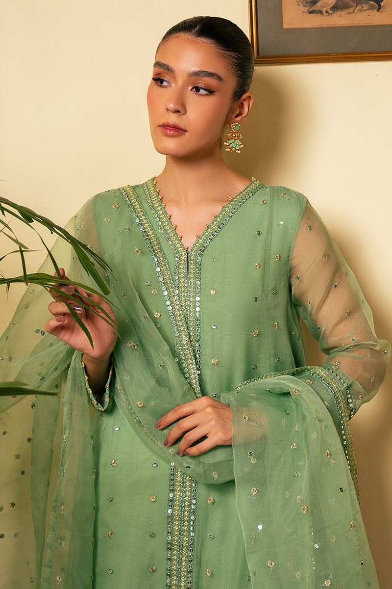 FORGED ELEGANCE-2 PC (SHIRT & DUPATTA)