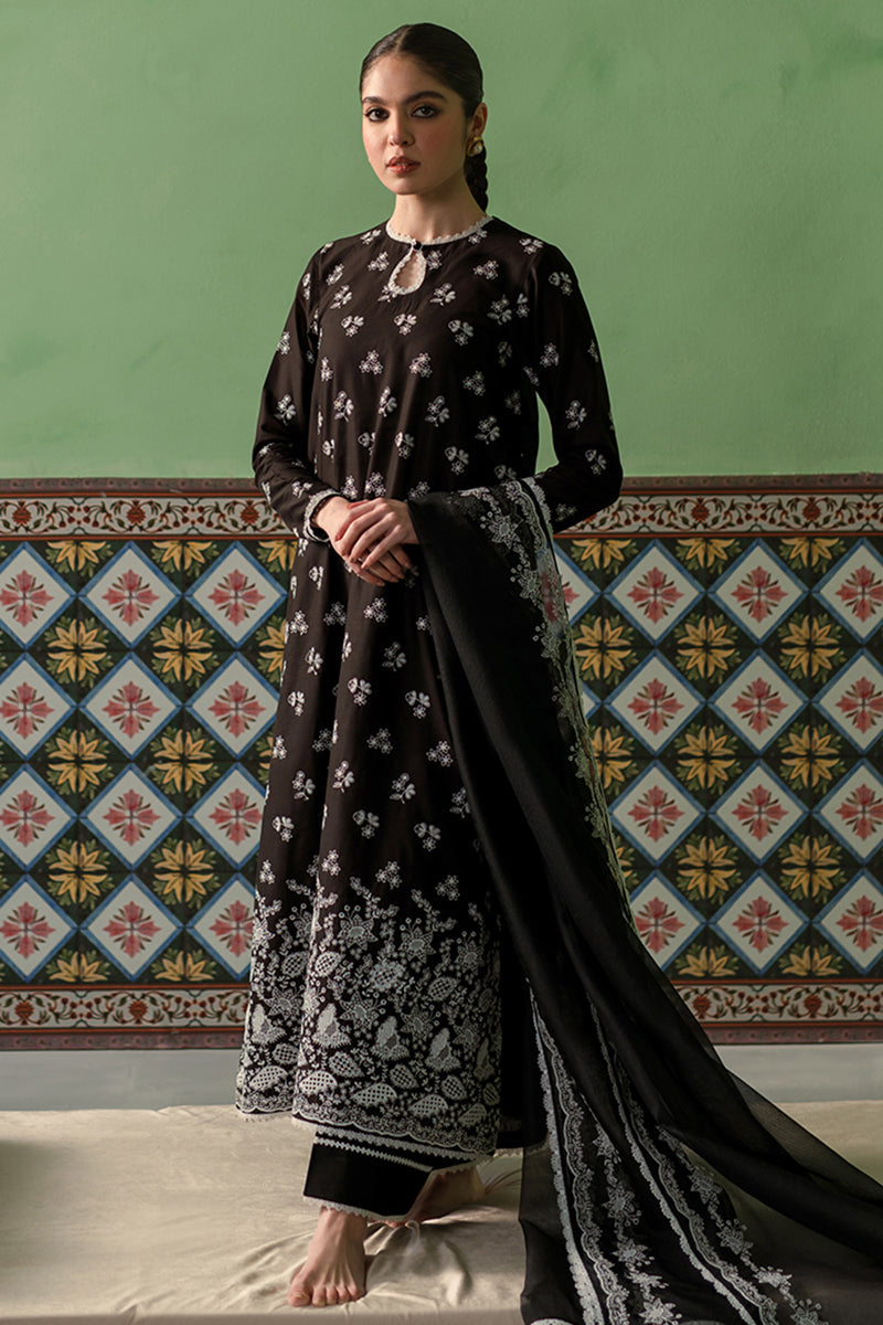 DUSKY SABLE-3 PIECE CHIKANKARI SUIT