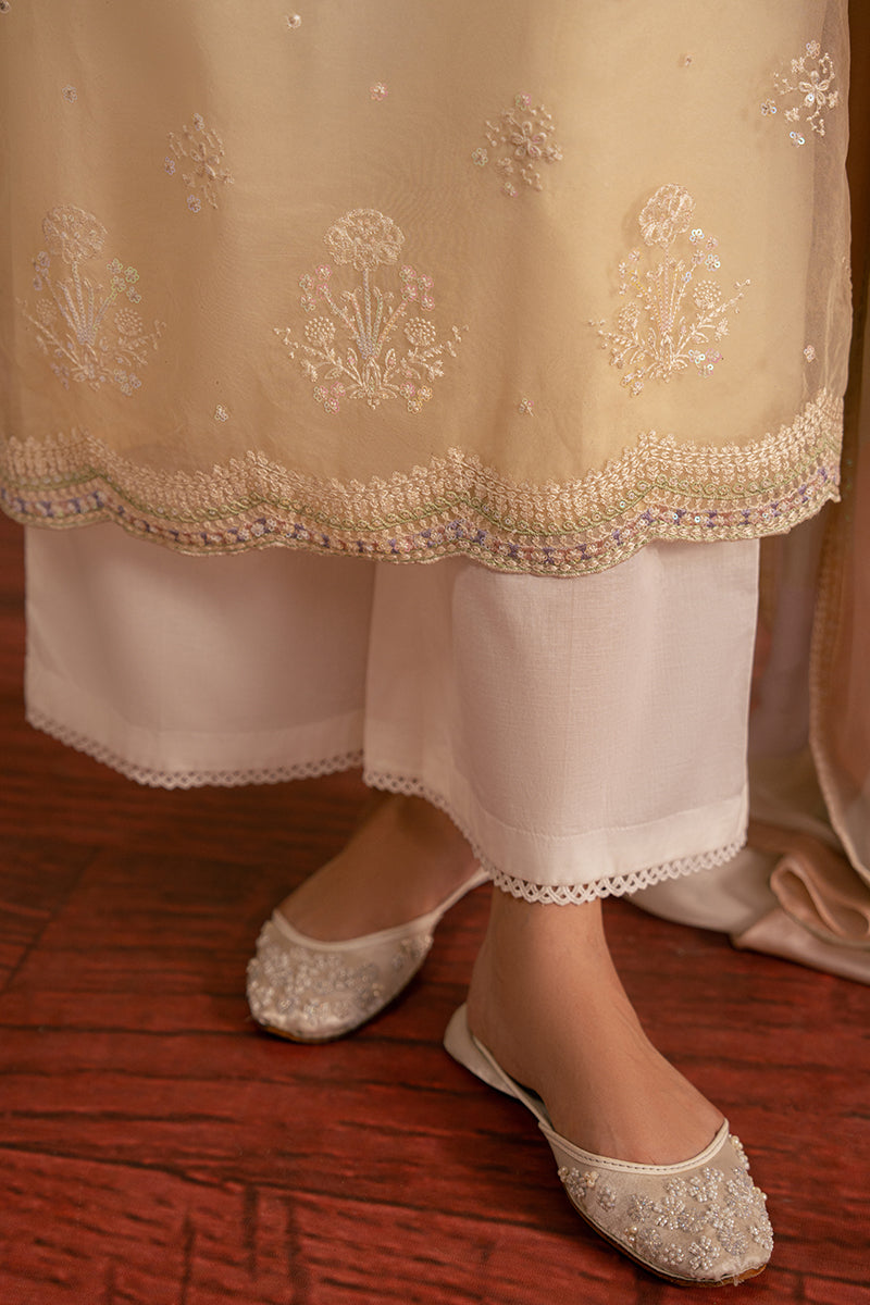 SERENE DREAM-2PC (SHIRT & DUPATTA)