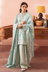 MINT HAZE-3 PIECE PRINTED SUIT