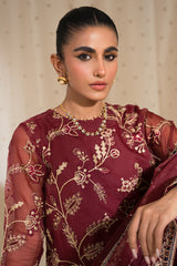 RANG E SEHAR- 2PC ORGANZA EMBROIDERED PRET