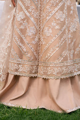 BRONZE BLAZE-3PC ORGANZA EMBROIDERED PRET
