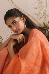 PORCELAIN MELODY-3PC CHIKANKARI SUIT