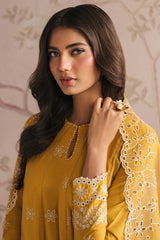 AMBER GLOW-3PC CHIKANKARI SUIT