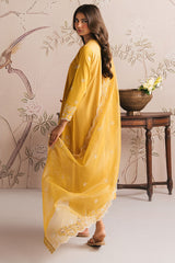 AMBER GLOW-3PC CHIKANKARI SUIT