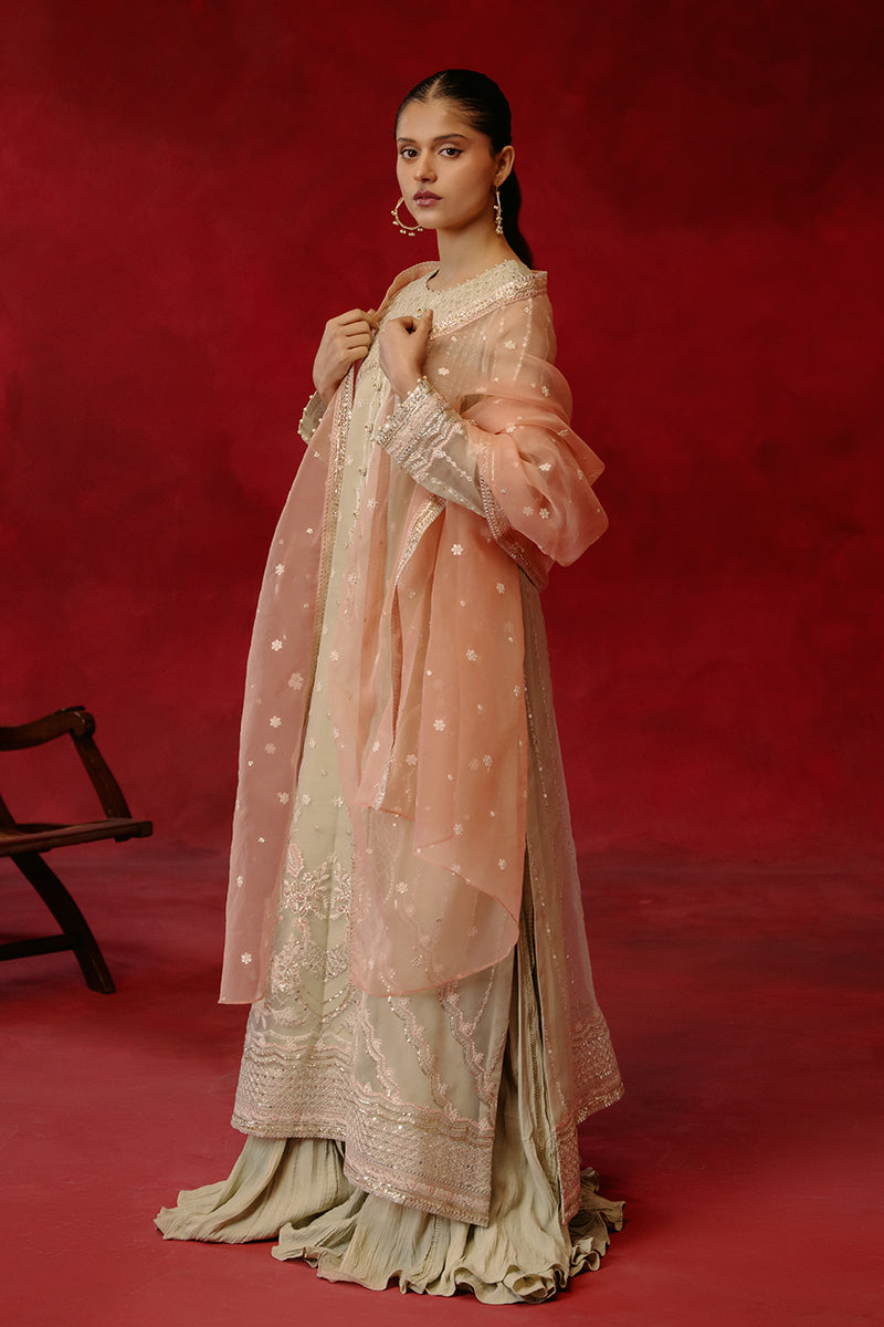 PISTACHIO DAWN-4 PIECE ORGANZA EMBROIDERED SUIT