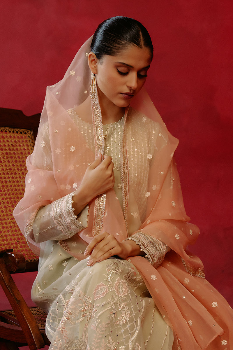 PISTACHIO DAWN-4 PIECE ORGANZA EMBROIDERED SUIT