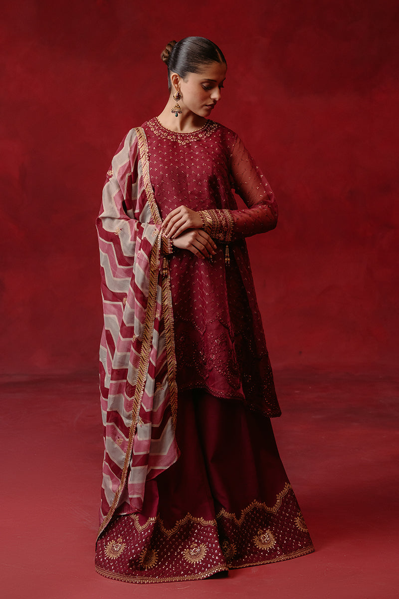 RED OCHRE-4 PIECE ORGANZA EMBROIDERED SUIT