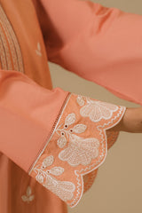 IRIS-2 PIECE CAMBRIC EMBROIDERED SUIT