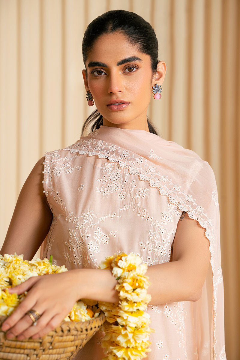 ROSY DUSK-3PC CHIKANKARI SUIT