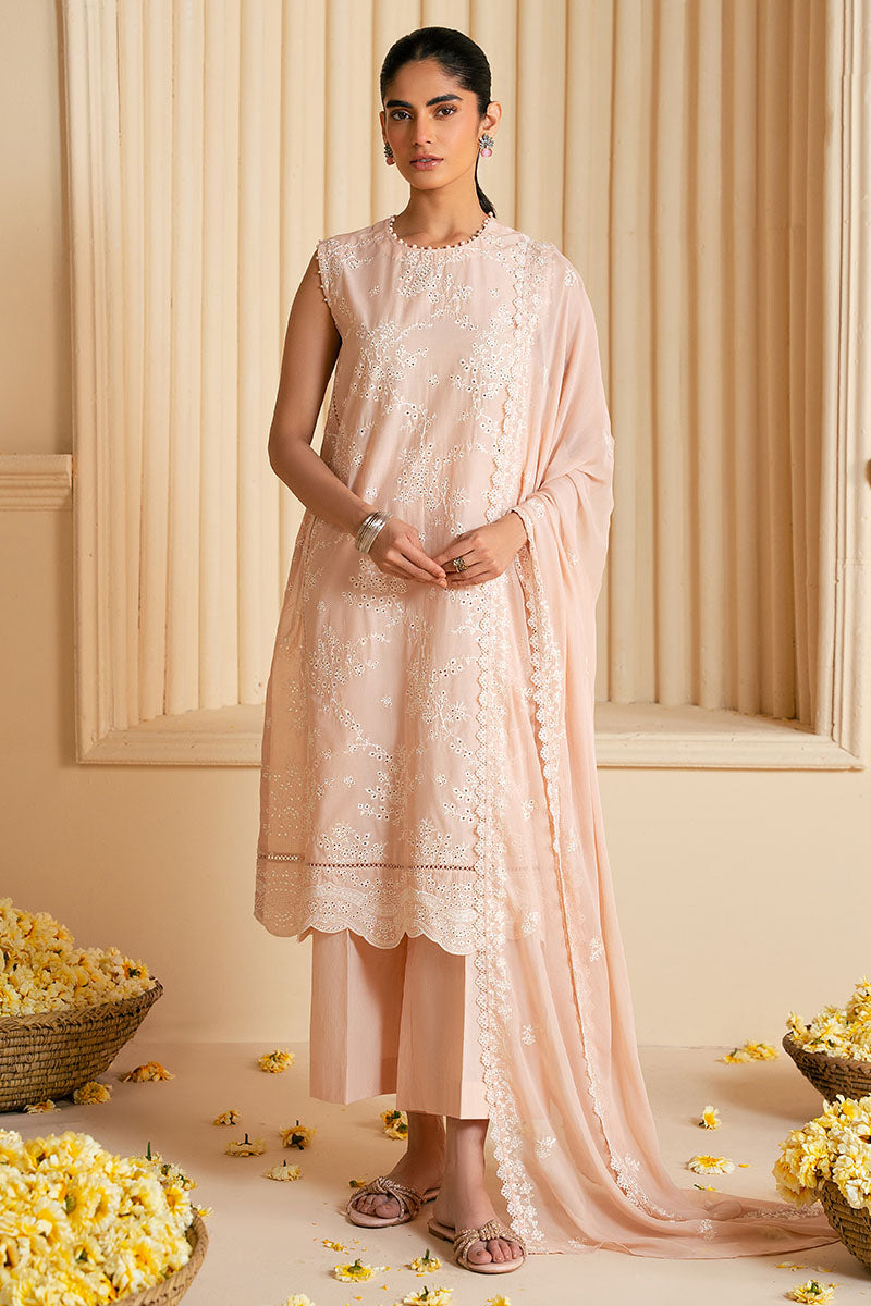 ROSY DUSK-3PC CHIKANKARI SUIT