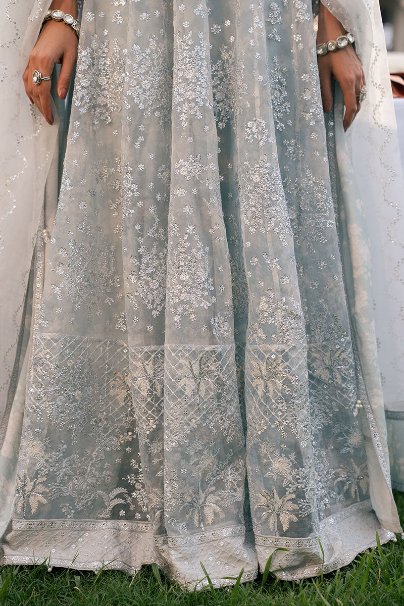 ROYAL GLINT-2PC ORGANZA EMBROIDERED PRET