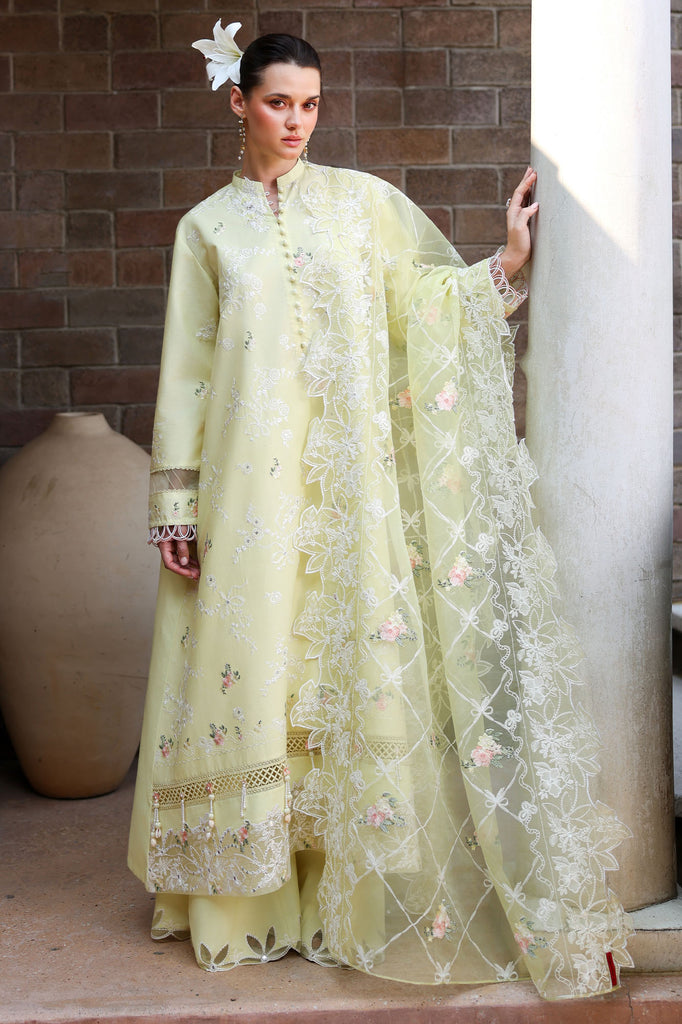 CITRUS LACE-3PC EMBROIDERED LAWN SUIT