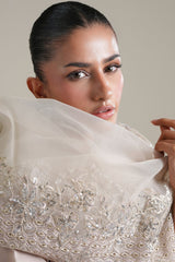 MISTY ASH -3PC SILK EMBROIDERED SUIT