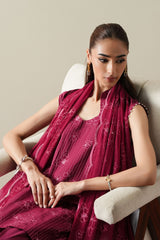 RUBY GLOW-3PC EMBROIDERED SUIT