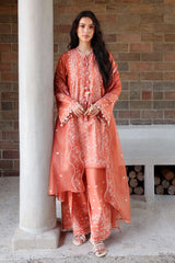 AMBER MIST-3PC EMBROIDERED LAWN SUIT