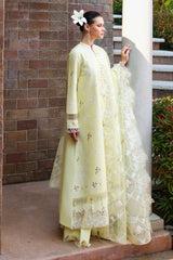 CITRUS LACE-3PC EMBROIDERED LAWN SUIT