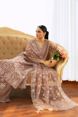 SILVER BIRCH-2PC ORGANZA EMBROIDERED PRET