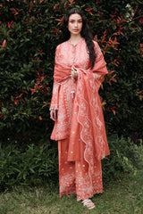 AMBER MIST-3PC EMBROIDERED LAWN SUIT
