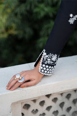 RAVEN BREEZE-3PC EMBROIDERED SUIT