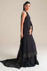 NOIR GRACE-4PC CHIFFON EMBROIDERED SUIT