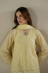 LEMON ZEST-3PC CHIKANKARI SUIT