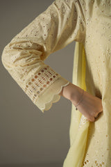 LEMON ZEST-3PC CHIKANKARI SUIT