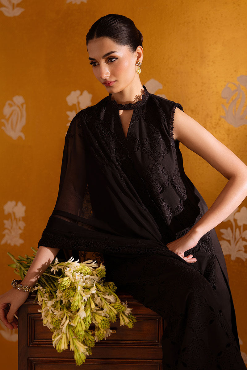 CHANTELLE LACE-3PC CHIKANKARI SUIT