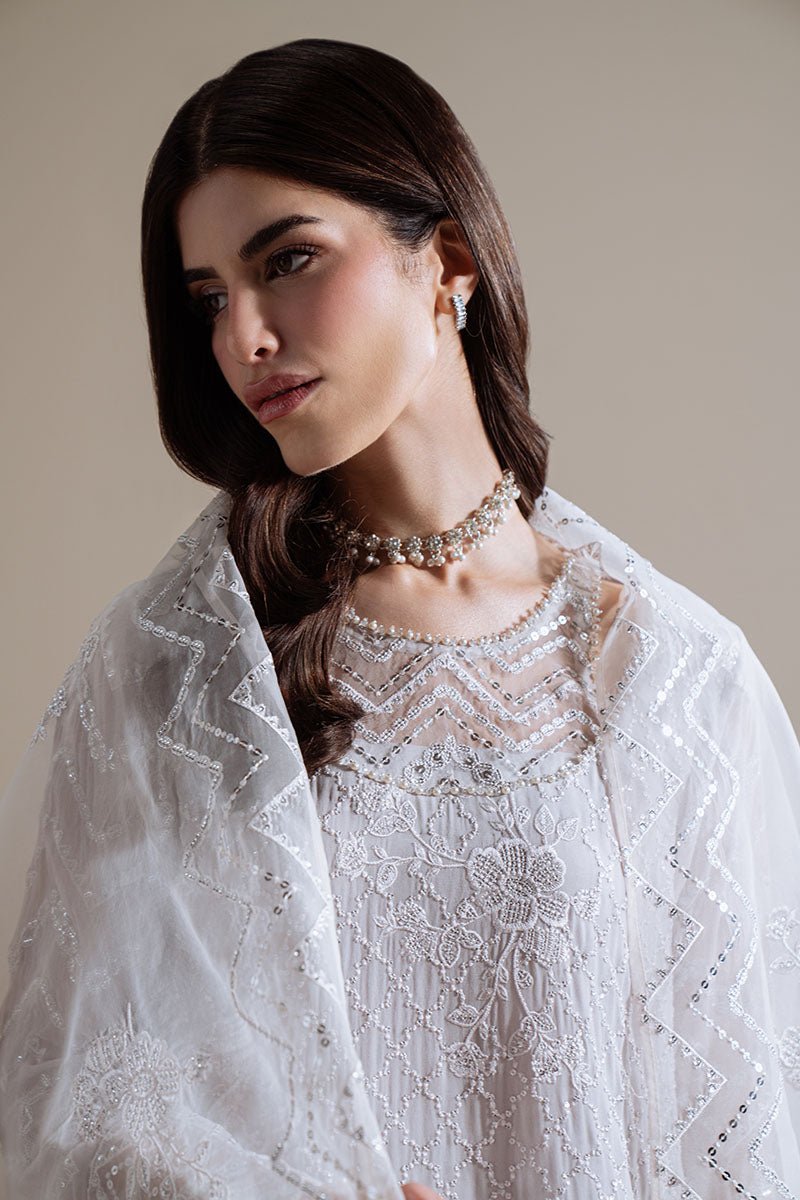 MOONLIT MIST-4PC CHIFFON EMBROIDERED SUIT