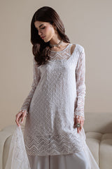 MOONLIT MIST-4PC CHIFFON EMBROIDERED SUIT