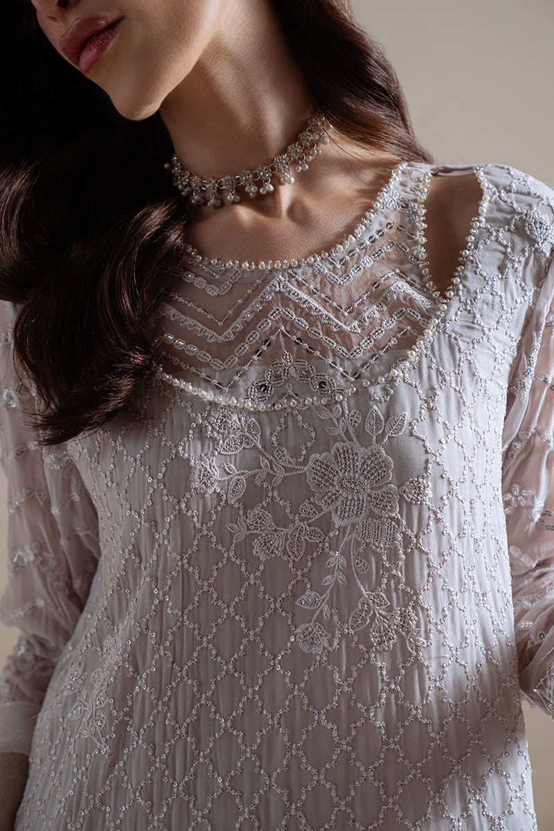 MOONLIT MIST-4PC CHIFFON EMBROIDERED SUIT