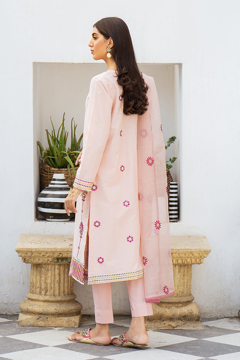 CREOLE BLUSH