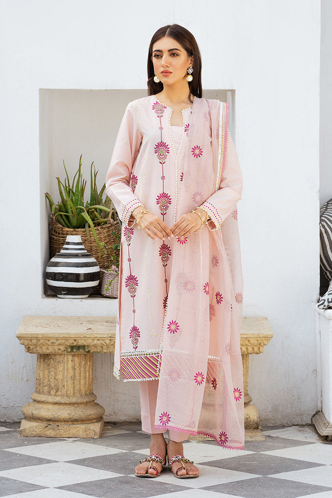 CREOLE BLUSH