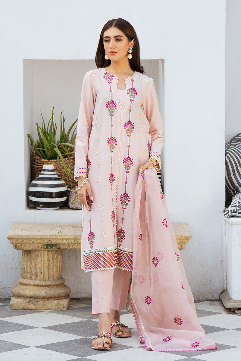 CREOLE BLUSH