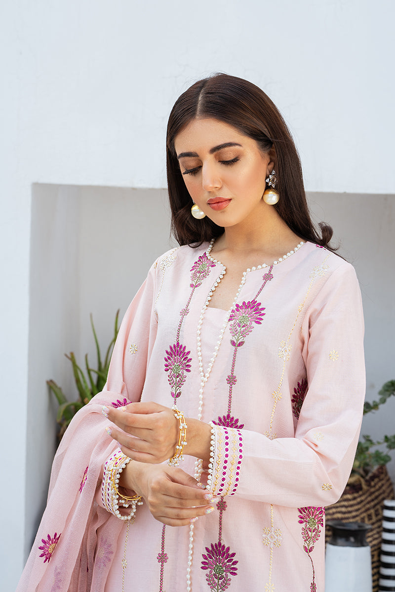 CREOLE BLUSH