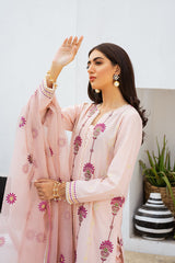 CREOLE BLUSH